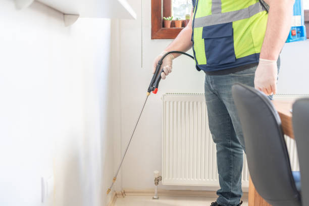 Best Flea Control Services  in Ellisville, MO
