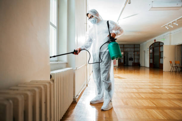 Best Flea Control Services  in Ellisville, MO