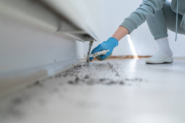 Best Best Pest Control Companies  in Ellisville, MO
